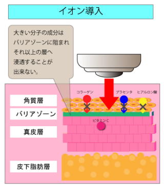 �C�I�������d�g��